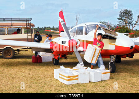 Cuyo Insel, Provinz Palawan, Philippinen: Nahaufnahme einer Piper Aztech Frachtflugzeug immer geladen Leben Fisch in Kisten am Flughafen Stockfoto