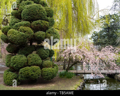 Goodacre See, Beacon Hill Park, Fairfield, Victoria, Britisch-Kolumbien, Kanada Stockfoto