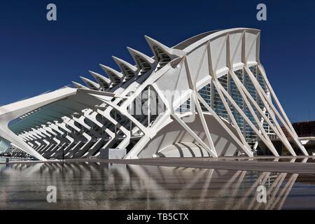 Museum der Wissenschaft, das Museu de les Ciences, CAC, Architekten Santiago Calatrava, Ciudad de las Artes y de las Ciencias, Valencia, Spanien Stockfoto