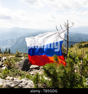 Flagge von Russland ist zu Baum oben am Berg gebunden. Flagge entwickelt aus Wind. Stockfoto