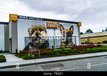 Wag Hotel Pet Verpflegung im Silicon Valley, Kalifornien, USA Stockfoto