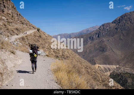 Wanderer auf den Spuren der Colca Canyon, Cabanaconde Bezirk, Peru Stockfoto