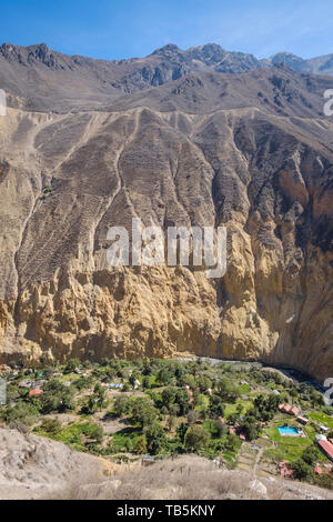 Oasis oder Park Sangalle im Colca Canyon, Cabanaconde Bezirk, Peru Stockfoto