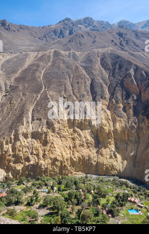 Oasis oder Park Sangalle im Colca Canyon, Cabanaconde Bezirk, Peru Stockfoto