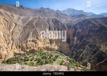 Oasis oder Park Sangalle im Colca Canyon, Cabanaconde Bezirk, Peru Stockfoto