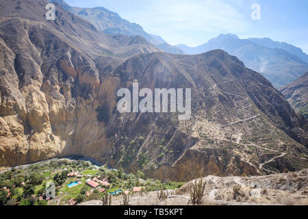 Oasis oder Park Sangalle im Colca Canyon, Cabanaconde Bezirk, Peru Stockfoto