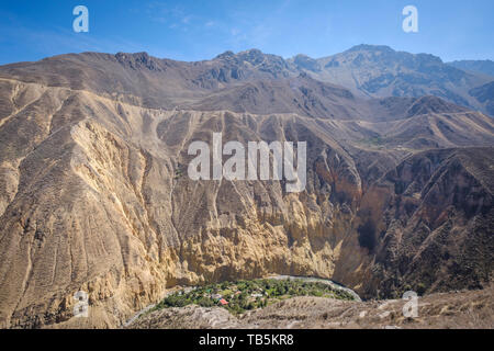 Oasis oder Park Sangalle im Colca Canyon, Cabanaconde Bezirk, Peru Stockfoto