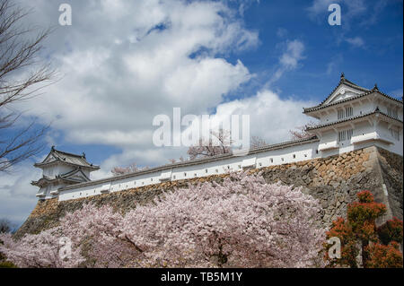 Himeji Castle, bekannt als der Weiße Reiher aufgrund der anmutigen Aussehen, mit Cherry Blossom und Blau, Cloud-Himmel. Es ist ein UNESCO Weltkulturerbe Stockfoto