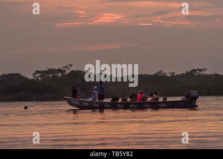 Die Sonne über dem Cuyabeno Wildlife Reserve im ecuadorianischen Amazonas, und Touristen in einem Boot beobachten und Schwimmen. Stockfoto