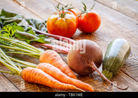 Karotten, rote Beete, Tomaten und Zucchini einfach nur im Garten auf Holzbrettern abgeholt. Stockfoto