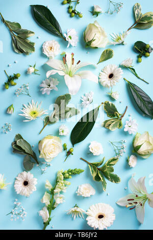Frühling Hintergrund mit schönen Blüten die weißen Blüten auf blauem Papier. Ansicht von oben, flach. Sommer Konzept. Kreative Gestaltung. Stockfoto