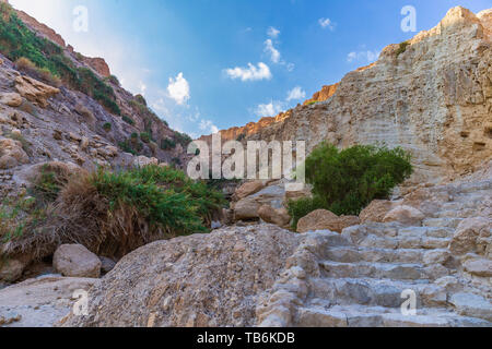 Wadi David in der Nähe der Toten Meer Im Ein Gedi Bereich Stockfoto