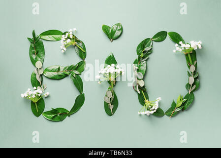 Wort Bio aus Blättern, Zweigen, Blüten auf grünem Hintergrund. Ansicht von oben. Flach. Ökologie, umweltfreundliche und nachhaltige Umwelt Konzept. Stockfoto