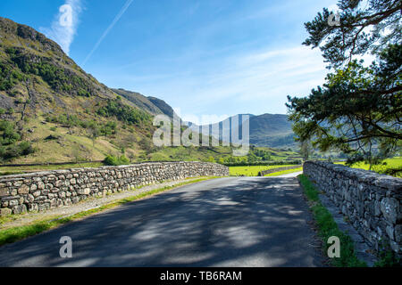 Die Straße von seathwaite Dorf zurück in Richtung Seatoller, die in der Aussicht auf die Umgebung und grasenden Schafen Stockfoto