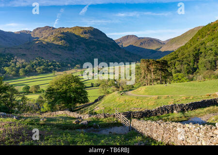 Der Blick hinunter auf Seatoller, Borrowdale-tal suchen, mit landwirtschaftlichen Gebäuden in der Borrowdale-tal Cumbira, Lake District National Park UK. Stockfoto