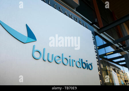 Ein logo Zeichen außerhalb des Hauptsitzes der bluebird Bio in Cambridge, Massachusetts am 29. April 2019. Stockfoto