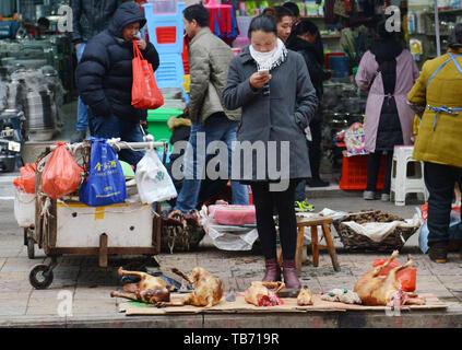 Hund Fleisch ist beliebt im Südwesten Chinas. Stockfoto