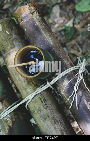 Frische bio Bambus Tasse und Löffel mit heißem köstlicher Kaffee auf einer Bank im Dschungel in Thailand gefüllt. Ökotourismus Stockfoto