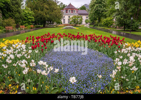 Frühling mit bunten Blumen im königlichen Kurgarten, Bad Reichenhall, Berchtesgadener Land, Oberbayern, Bayern, Deutschland | Frühling Blumen an der Stockfoto