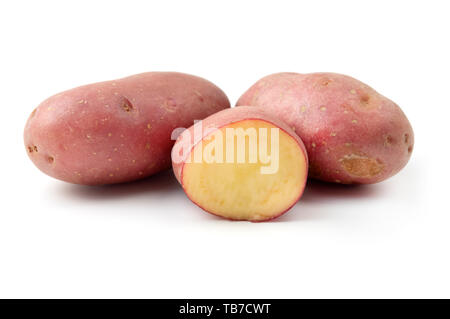 Cherie Kartoffeln (Solanum tuberosum) auf weißem Hintergrund Stockfoto