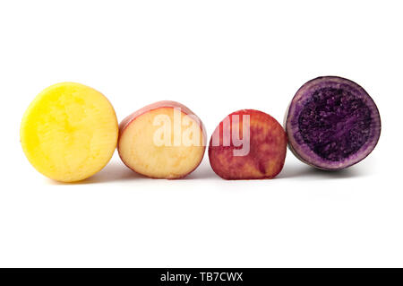 Kartoffeln mit unterschiedlicher Pigmentierung (Solanum tuberosum) auf weißem Hintergrund Stockfoto