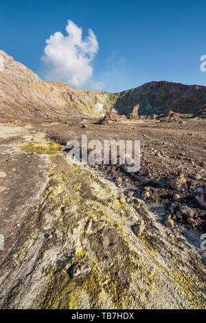 Gelber Schwefel und Fumarolen auf der Vulkaninsel White Island, Whakaari, Bay of Plenty, North Island, Neuseeland Stockfoto