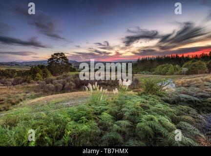 Hügelige Land im Far North Distrikt, Northland, North Island, Neuseeland Stockfoto