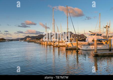 Marina mit Bootsanleger mit Yachten und Segelboote in der Bucht von San Pedro Sula, weit North District, Northland, North Island, Neuseeland Stockfoto