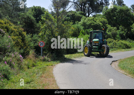 Förster genehmigt von Unkraut ein Feuer weg in einem Wald. Im Karmel Berge Wald fotografiert, Israel Stockfoto