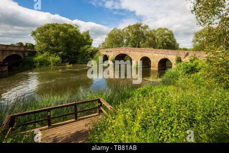 Die 15. Jahrhundert Pershore Alte Brücke über den Fluss Avon, Worcestershire, England Stockfoto