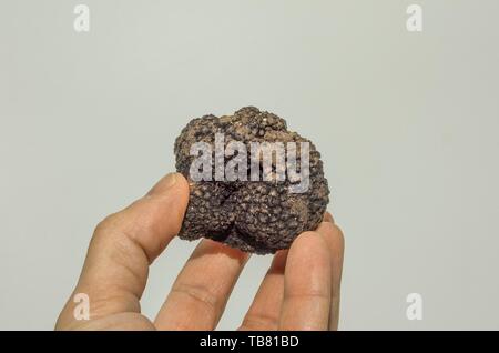 Muster der schwarzen Trüffel im Vordergrund. Stockfoto