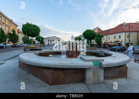 Vilnius, Litauen. Mai 2019. Der Rathausplatz Brunnen im Zentrum der Stadt Stockfoto