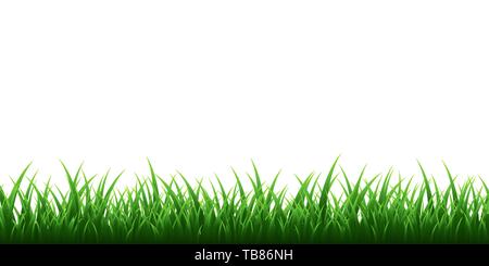 Grüne Gras Grenze auf transparentem Hintergrund gesetzt. Vector Illustration. Stock Vektor