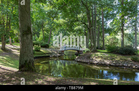 Palanga Botanischer Garten Teich im Sommer Mittag mit Wasser im Vordergrund, Palanga, Litauen, Europa Stockfoto