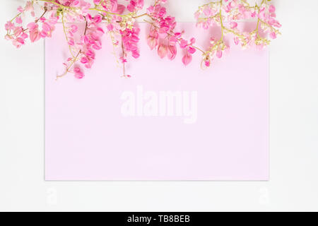 Flach von rosa Blume auf Rosa pastell Einladungskarte auf weißem Hintergrund. natürliche Blumen Einladungskarte Konzept Stockfoto