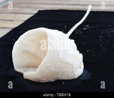 An Bord Kexue. 30 Mai, 2019. Foto am 30. Mai 2019 zeigt der Schwamm von Discovery, eine Remote Operated Vehicle (ROV) an Bord des China Forschungsschiff KEXUE (Wissenschaft), im westlichen Pazifischen Ozean in den letzten Tauchgang gesammelt. KEXUE ist die Durchführung einer 20-tägigen lange Untersuchung über eine Reihe von Seamounts im Süden der Marianengraben im westlichen Pazifischen Ozean. Credit: Zhang Xudong/Xinhua/Alamy leben Nachrichten Stockfoto