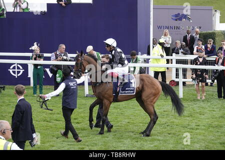 Epsom Downs, Surrey, Großbritannien. 31. Mai, 2019. Frankie Dettori auf Anapurna beginnt seine Jog zu Beginn der Investec Eichen - auf Damen Tag, klassischen Pferderennen. Credit: Motofoto/Alamy leben Nachrichten Stockfoto