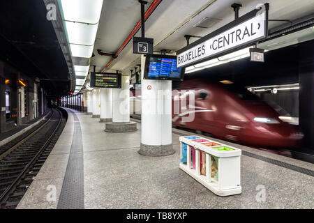 Ein Thalys Hochgeschwindigkeitszüge ist vorbei auf die leere u-Plattform in Brüssel Central Station, einem der wichtigsten Bahnhöfe der Stadt. Stockfoto