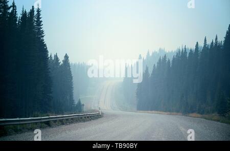 Foggy Road in Wald im Banff National Park. Stockfoto