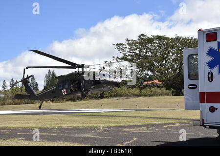 Tripler Army Medical Center erhält Unterstützung aus der Luft von 25 Combat Aviation Brigade bei einer gemeinsamen Hurrikan Übung, an der TAMC Hubschrauberlandeplatz, Mai 16. Stockfoto