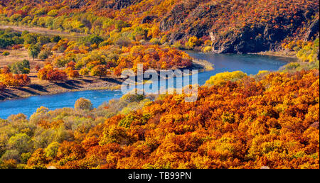 Spektakuläre ergun argun Fluss zwischen Russland und China gegen die herbstlichen Laub Stockfoto