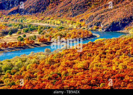 Spektakuläre ergun argun Fluss zwischen Russland und China gegen die herbstlichen Laub Stockfoto