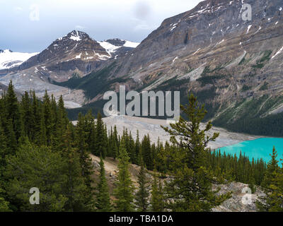 Peyto Lake und Rocky Mountains, Peyto Lake Viewpoint, Improvement District 9, Banff National Park, Jasper, Alberta, Kanada Stockfoto