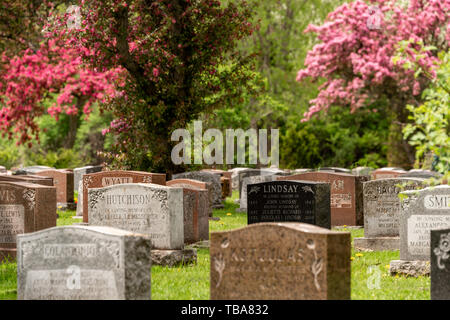 Montreal, CA - 30. Mai 2019: Grundsteine in Montreal Friedhof in den Frühling Stockfoto