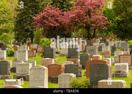 Montreal, CA - 30. Mai 2019: Grundsteine in Montreal Friedhof in den Frühling Stockfoto