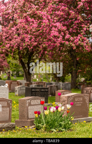 Montreal, CA - 30. Mai 2019: Grundsteine in Montreal Friedhof in den Frühling Stockfoto