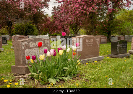 Montreal, CA - 30. Mai 2019: Grundsteine in Montreal Friedhof in den Frühling Stockfoto