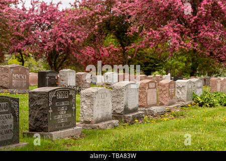 Montreal, CA - 30. Mai 2019: Grundsteine in Montreal Friedhof in den Frühling Stockfoto