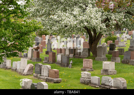 Montreal, CA - 30. Mai 2019: Grundsteine in Montreal Friedhof in den Frühling Stockfoto