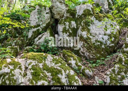 Ein Haufen großer Steine in den Wald, mit Moos und Gras bewachsen. Stein Hintergrund Stockfoto